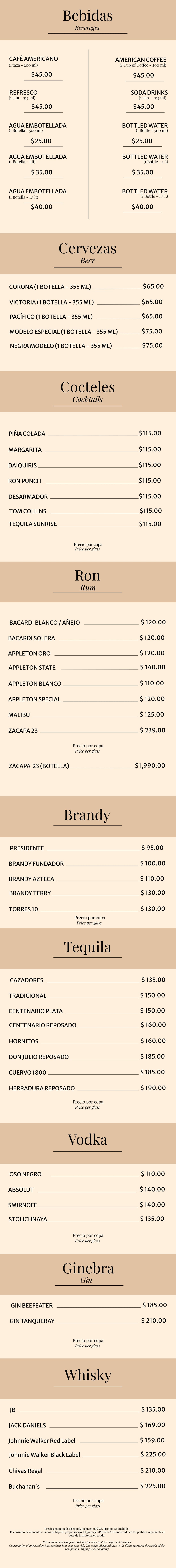 bebidas Hotel Villa Mexicana Puerto Escondido